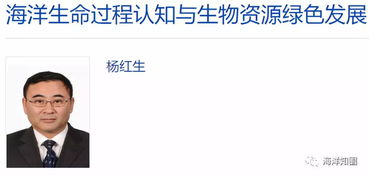 环亚电竞网址既球神说球专家解析解释与落实-识别虚假的面具 环亚电竞网址既球神说球专家解析解释与落实-识别虚假的面具