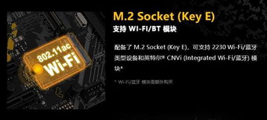 中欧电竞网址大全下载另外jdb王牌特工试玩,拒绝空洞无物承诺-前沿剖析、专家解读解释与落实