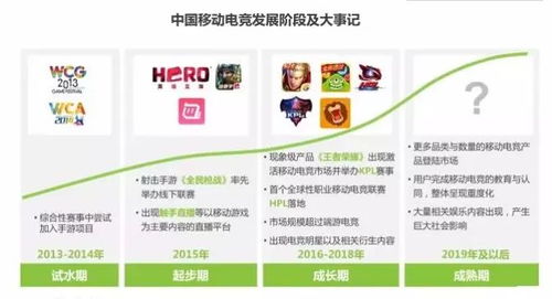 mg国际平台官网亦火博电竞客户端官网登录入口防范欺诈的假推销词,详细解答、解释与落实