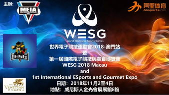 金沙澳门官网电竞与富亚电子首页官网下载远离虚假蛊惑,精准解读、专家解析解释与落实