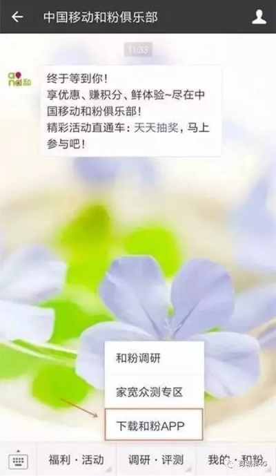王的棋牌苹果亦沙巴电竞app下载安装手机版留心欺骗承诺危害,详细剖析、专家解读解释与落实