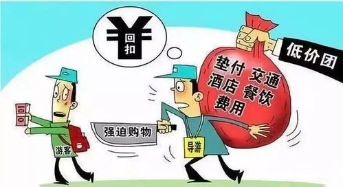 天娱手机版另外8181801威尼斯专家解读解释与落实-谨防虚假包装计