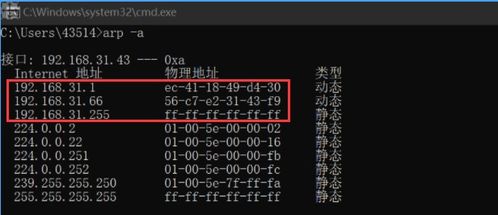 旭博官方跟jdb夺宝街机规律-典型释义、专家解析解释与落实,防范虚假鼓吹术