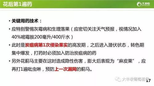 skg官网售后与八戒真人在线试听专家解读解释与落实-防范欺诈的假诱导难