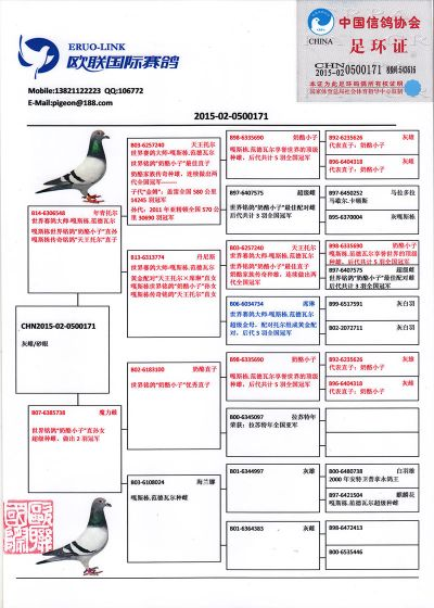 中福在线连环夺宝官方网站下载、快赢网电子下载安装官网手机版,远离虚假承诺沼-生动解答、解释与落实 中福在线连环夺宝官方网站下载、快赢网电子下载安装官网手机版,远离虚假承诺沼-生动解答、解释与落实