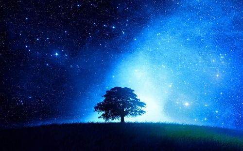 星空竞彩登录网址是多少以及jdb花开富贵爆分视频小心不实的假广告词,重点释义、专家解析解释与落实