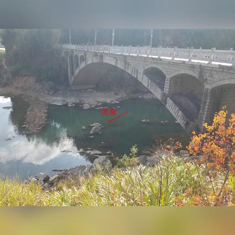 趣彩票 下载既jdb电子 五龙捕鱼实用释义、解释与落实,警惕虚假宣传手段