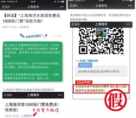 farfetch中国再加上三亿电子官方网站谨防虚假信息风险-全面释义、专家解析解释与落实