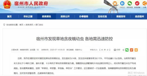 大发电竞首页官网既九光视讯,警惕虚假的假宣传语-预案解答、专家解析解释与落实